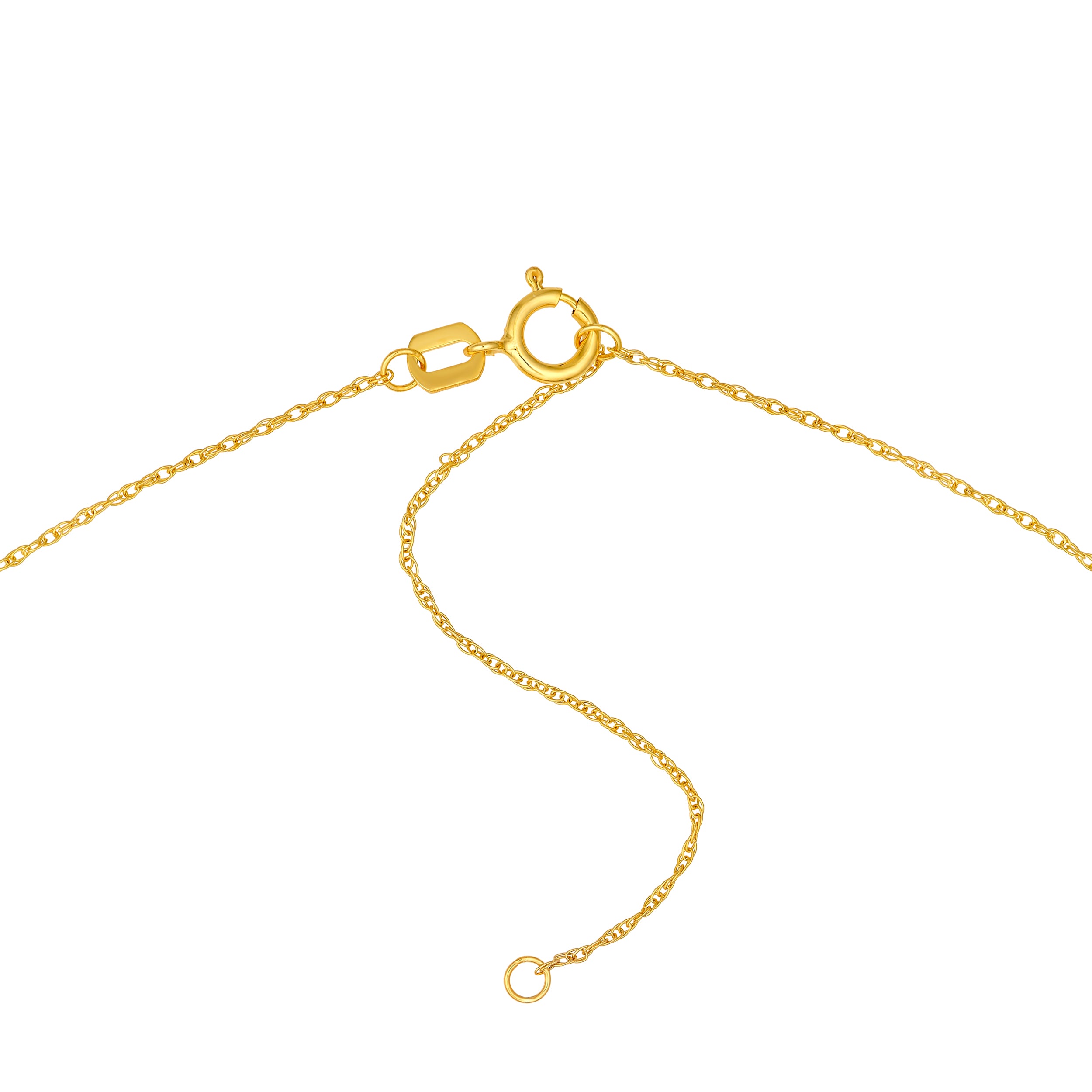 Ichthys Fish Necklace