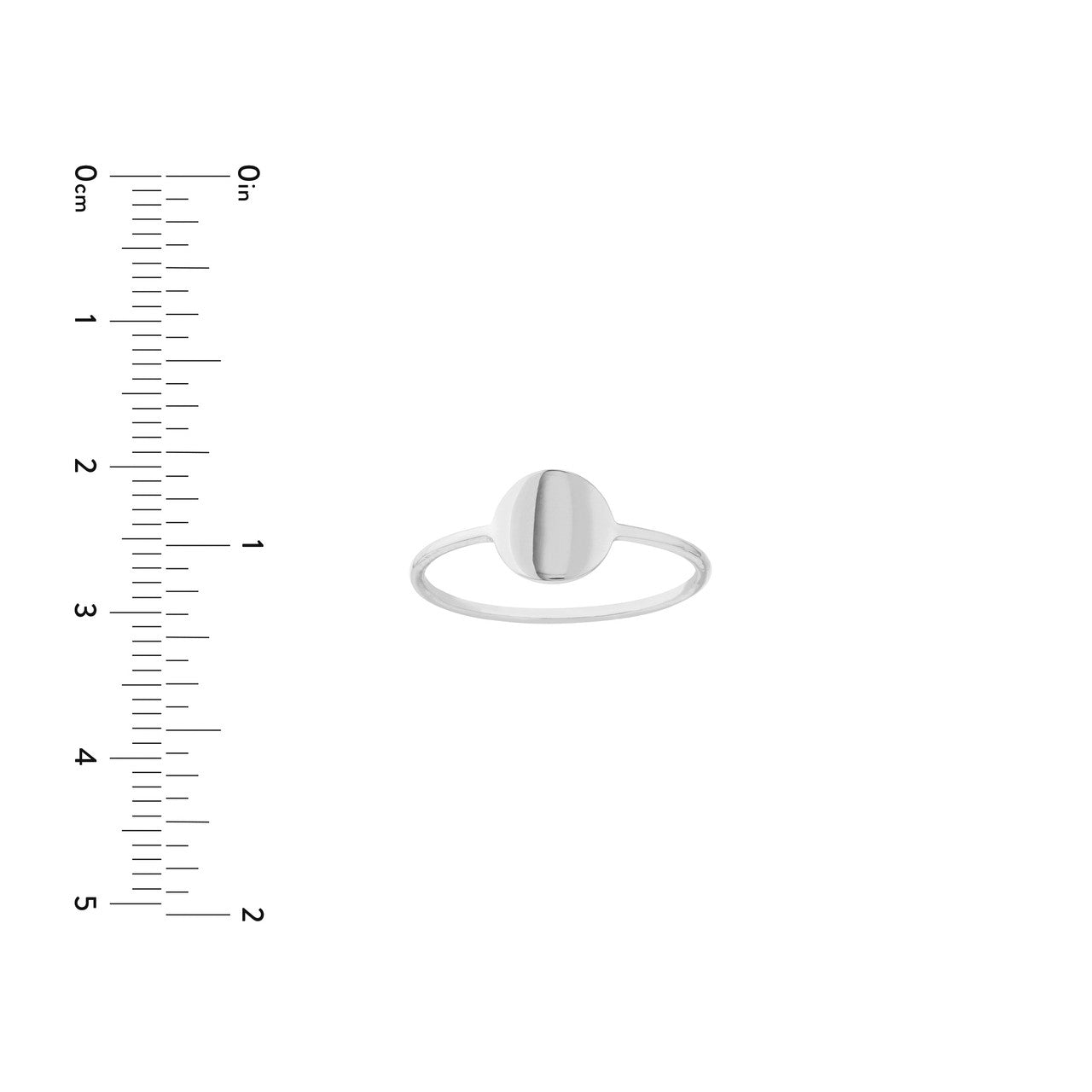 14K gold disc wire ring, shimmering finish, side view