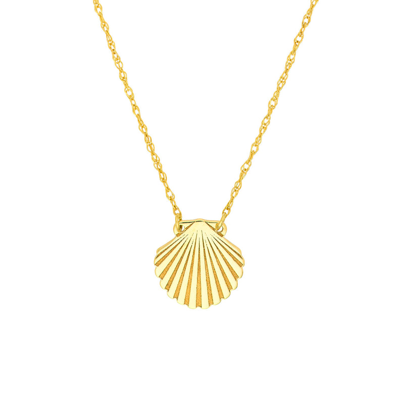 Simple seashell necklace by My Store, featuring a delicate design with natural shell detail on a fine chain.