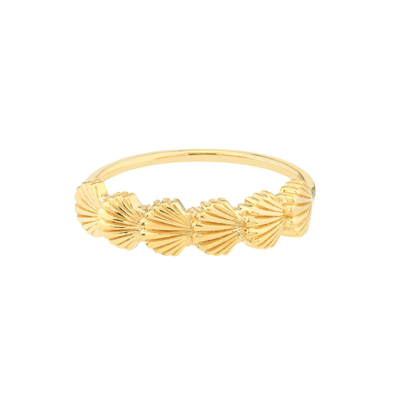 Scallop seashell ring by My Store featuring intricate detailing and a polished finish, set against a soft background.