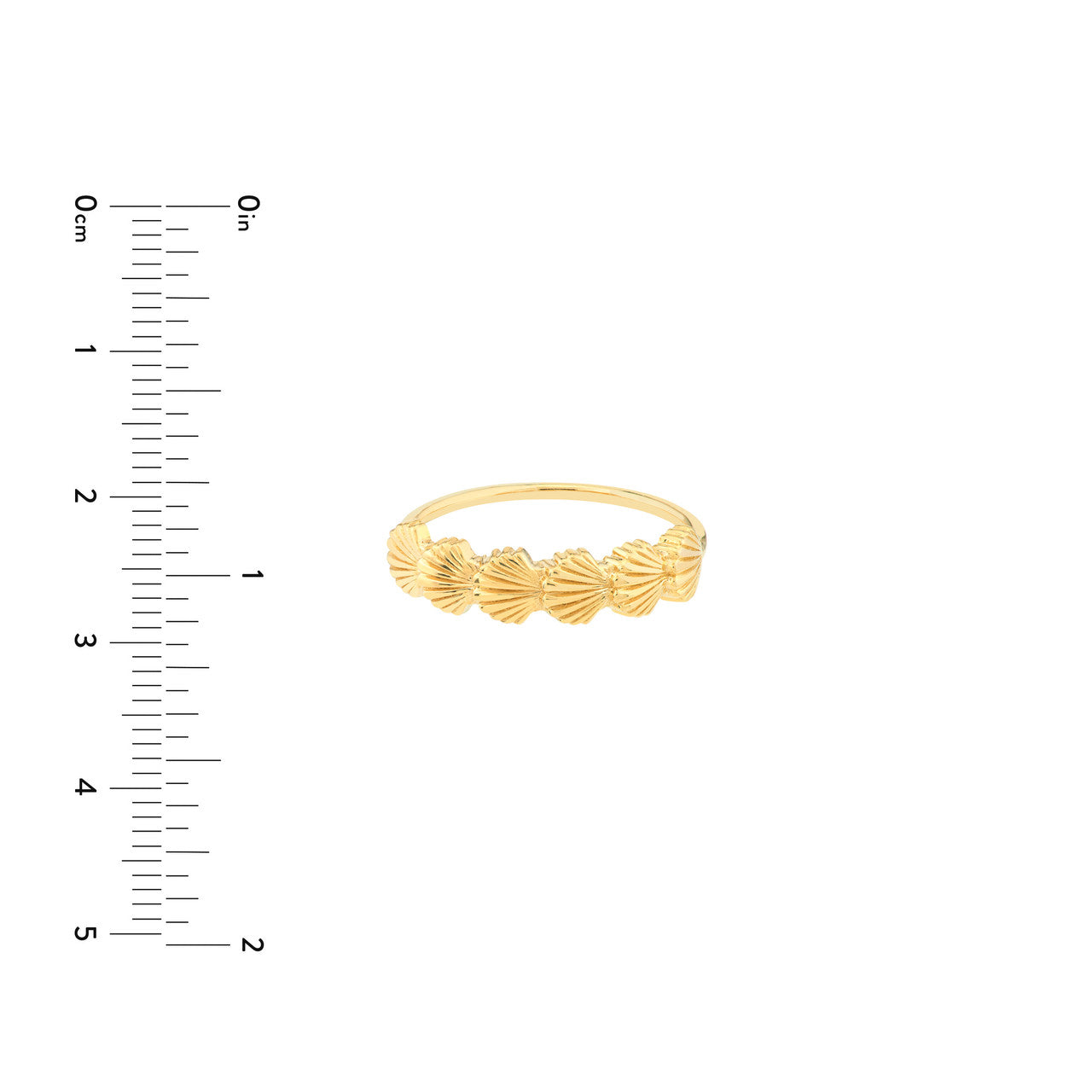 Delicate scallop seashell ring by My Store, featuring intricate detailing and a shimmering finish.